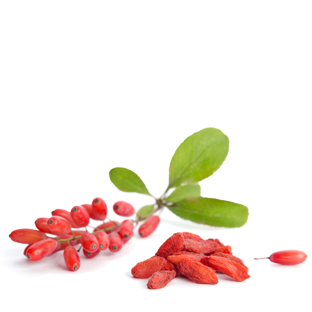 Goji Beeren Natural von Snackberries – getrocknete Goji-Beeren ohne Zusätze