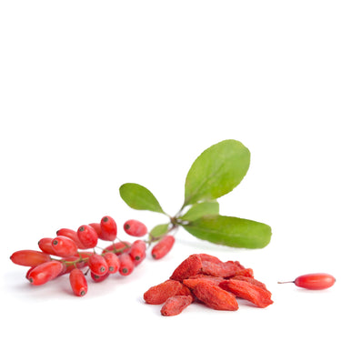 Translation missing: de.Goji Beeren Natural von Snackberries – getrocknete Goji-Beeren ohne Zusätze