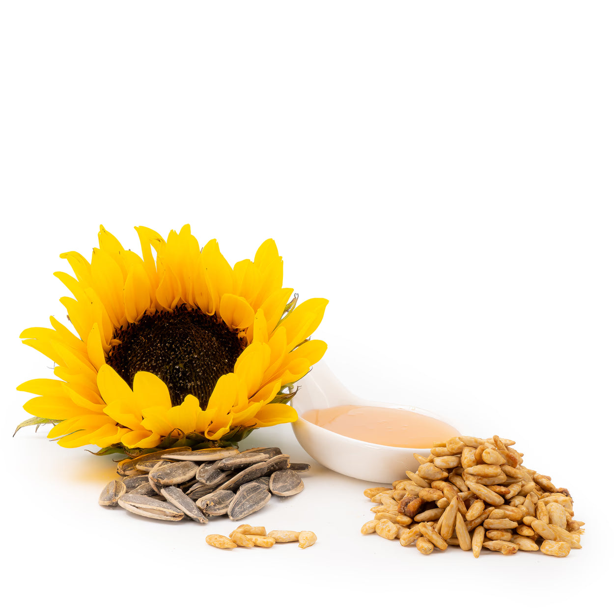 Sonnenblumenkerne Honey Salty von Snackberries – geröstete Sonnenblumenkerne süß-salzig